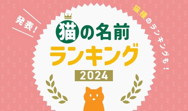 ペット 名前 販売 猫