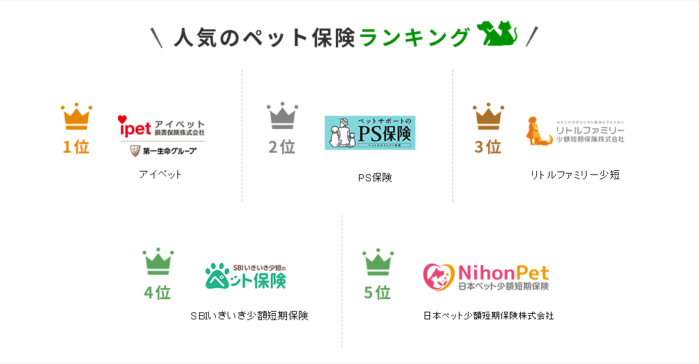 ペット保険 人気ランキング】2024年8月最新版を発表！｜ペット
