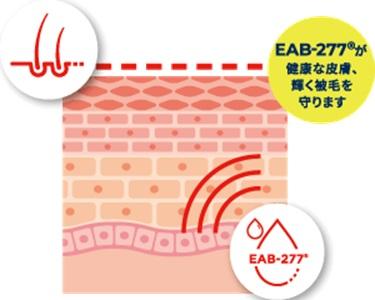 新発売「アンチノール® プラス スキン サポート 」ワンちゃんの